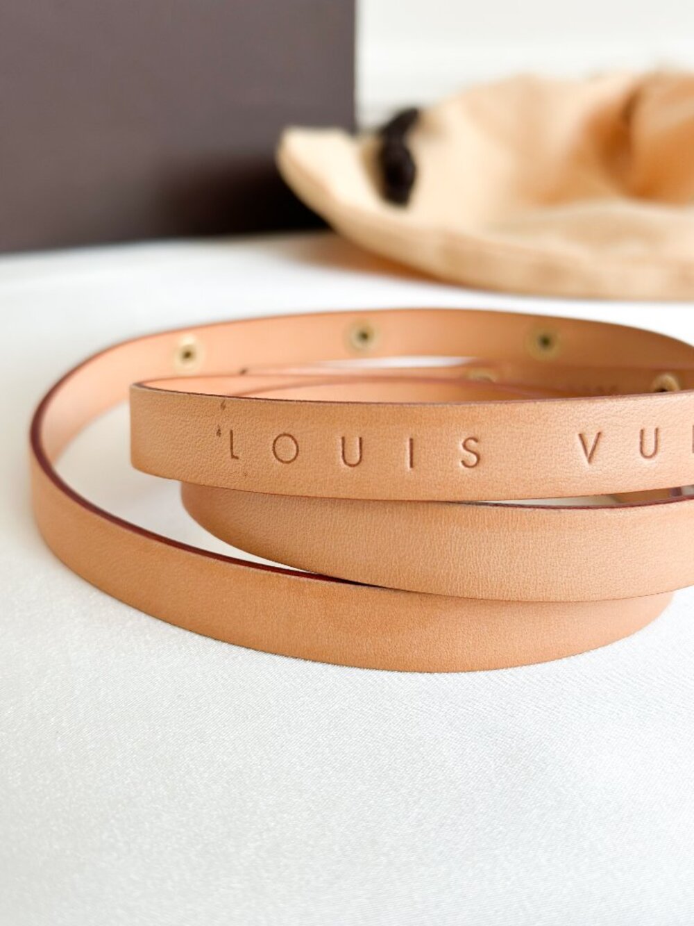 Louis Vuitton Florentine Strap S View 5